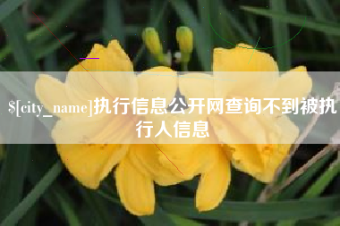 长垣执行信息公开网查询不到被执行人信息