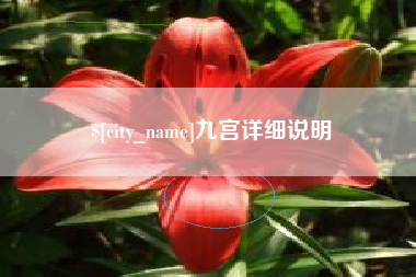 长垣九宫详细说明