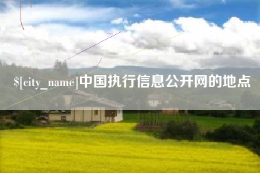 长垣中国执行信息公开网的地点
