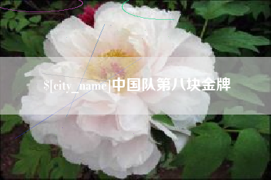 长垣中国队第八块金牌
