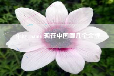 长垣现在中国哪几个金牌