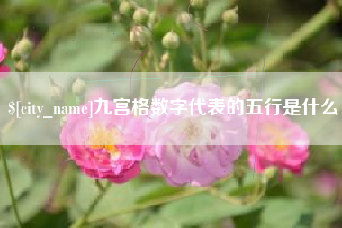 长垣九宫格数字代表的五行是什么