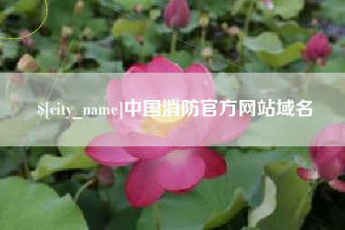 长垣中国消防官方网站域名