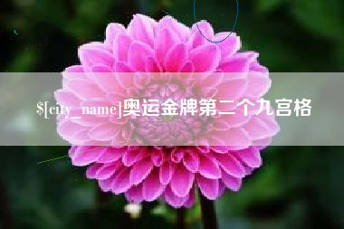长垣奥运金牌第二个九宫格