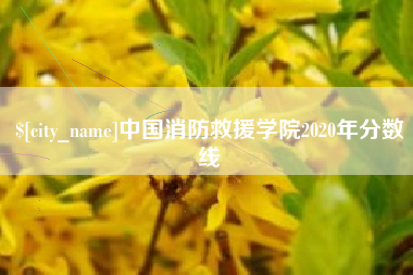 长垣中国消防救援学院2020年分数线