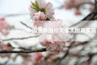 长垣中国金牌图片大全大图真实高清