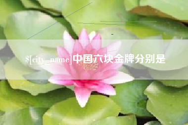 长垣中国六块金牌分别是