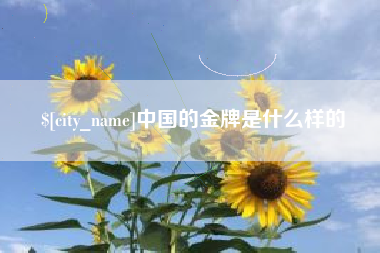 长垣中国的金牌是什么样的