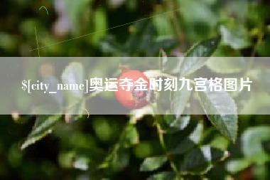 长垣奥运夺金时刻九宫格图片