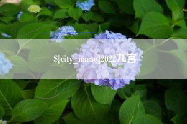 长垣2022九宫