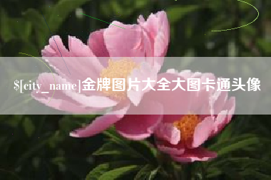 长垣金牌图片大全大图卡通头像