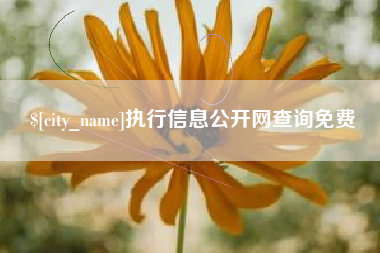 长垣执行信息公开网查询免费