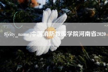 长垣中国消防救援学院河南省2020